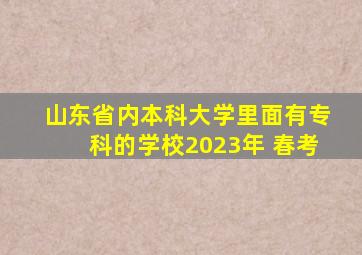 山东省内本科大学里面有专科的学校2023年 春考